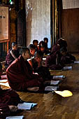 Novice monks, Shwe Yaunghwe Kyaung, Nyaungshwe, Inle Lake, Myanmar.  